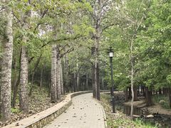 -白水寺森林公园
