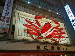 -蟹道乐(道顿堀本店)