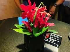 -The Lounge·大堂酒廊·北京粤财JW万豪酒店