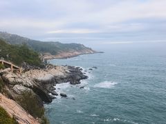 -广东惠东海龟国家级自然保护区