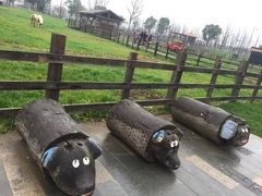 -田园东方蜜桃村的田野营地
