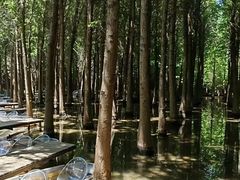 -捞渔河湿地公园