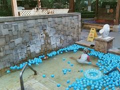 -春晖园度假酒店温泉