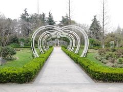 -昆山城市生态森林公园