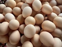 -马陆小张葡萄园农家乐