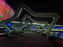 -演武大桥观景平台