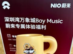 -深圳湾万象城(南山店)