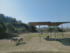 -宁波野生动物园