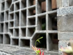 -紫阳古街