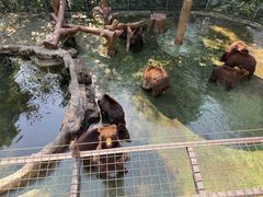 -深圳野生动物园