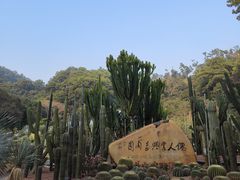 -深圳仙湖植物园