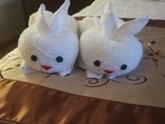 -北京园博大酒店