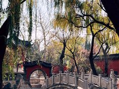 -淄博聊斋城景区