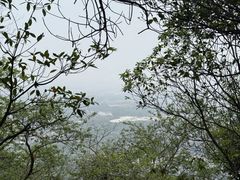 -火炉山森林公园