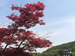 -孙武文化园-停车场