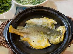 泉水黄花鱼-锦園(伊势丹美食城店)