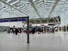 -朱利叶斯·尼雷尔国际机场