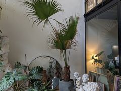 -六出私塾LiuChu•成人美术书法系统课程专业画室(熊婆婆的花园店)