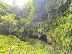 -海口火山口国家地质公园