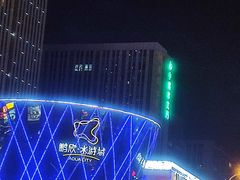 -鹏欣水游城