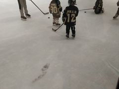 -陈露国际冰上中心(天津嘉里汇店)