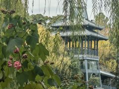 -金鸡湖桃花岛