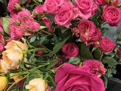 -Flower in(密渡桥店)