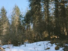 -硗碛藏寨·神木垒景区