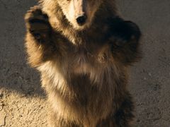 -济南野生动物世界