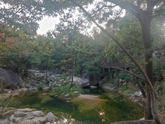 -沂蒙山旅游区云蒙景区(蒙山国家森林公园)
