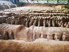 -秦始皇帝陵博物院(兵马俑)