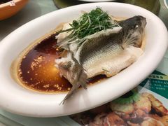 -椿记烧鹅(建干路店)