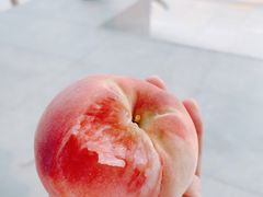 水蜜桃茉莉绿-原麦山丘(新中关店)