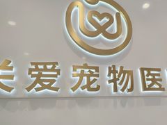 -关爱宠物医院·猫科中心·消化科(滨湖万达分院)