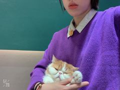 -飞行喵MR PILOT|猫舍·猫咖(静安大融城店)