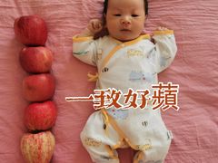 -爱月宝月嫂·育儿嫂