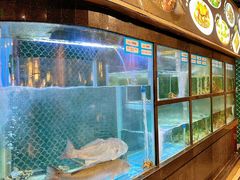 -顺意·顺德家乡菜(国际人才大厦店)