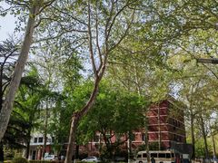 -山东理工大学