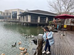 -上海怡沁园度假酒店