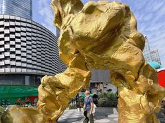 -小炳胜(卓悦中心店)