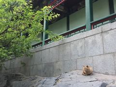 -万柳阁小馆·花园餐厅(龙潭湖店)