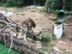 -宁波野生动物园