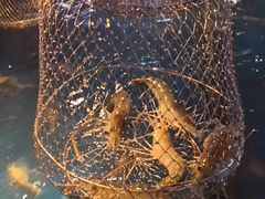 -钳真多钓虾馆·小龙虾海鲜烧烤(九六广场店)