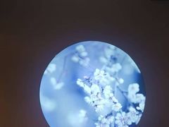 -上足·影院足道·SPA(红岭店)