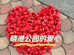 -晓港公园