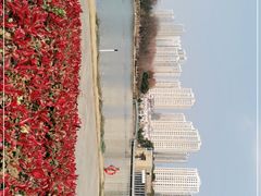 -白塘生态植物园