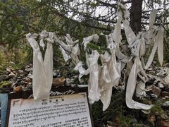 -米堆冰川