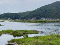 -腾冲北海湿地