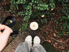 -杭州半山国家森林公园