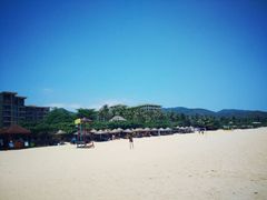 android_upload_pic-三亚亚龙湾红树林度假酒店